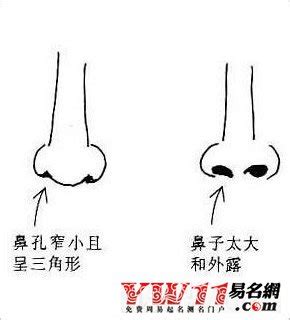 鼻孔一大一小面相|十六种鼻子面相图文分析三六风水网